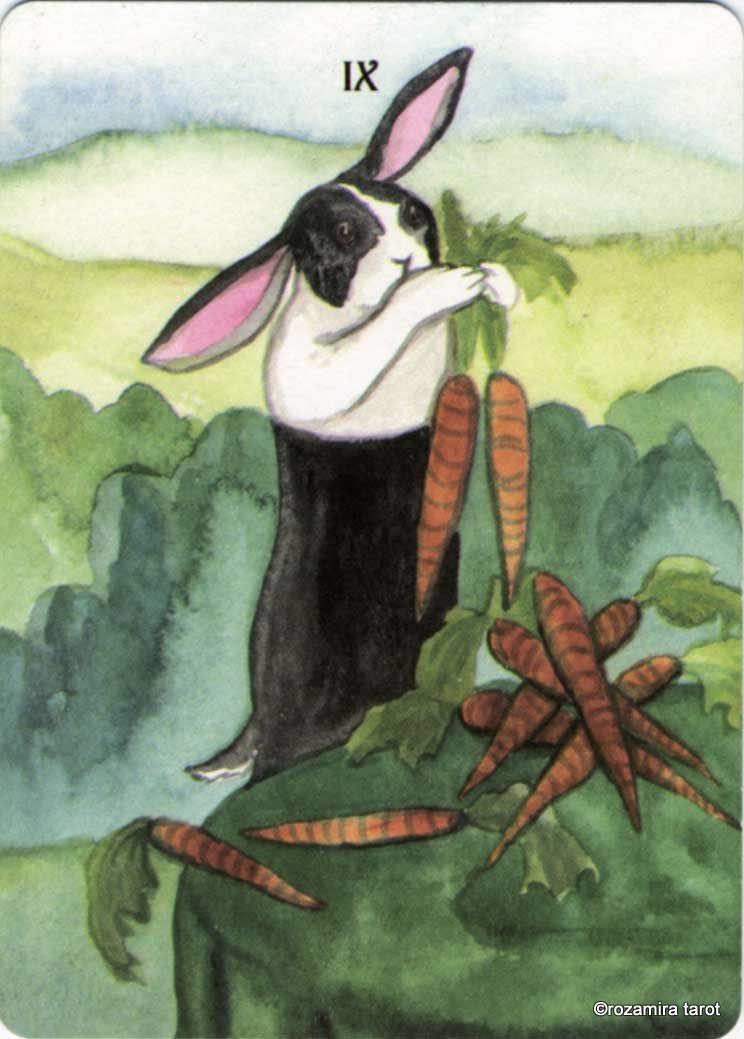 Rabbit Tarot